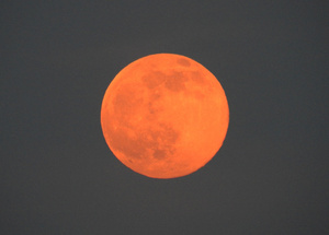 strawberrymoon1.jpg